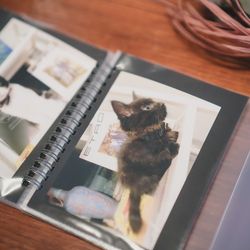 KOTOWA 京都 八坂の写真17枚目