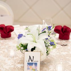 カノビアーノ 福岡の写真3枚目