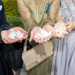 ウェディングスホテル・ベルクラシック東京の写真6枚目