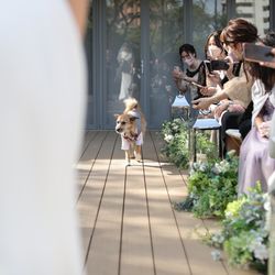 THE SORAKUEN の写真28枚目