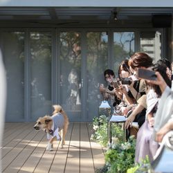 THE SORAKUEN の写真25枚目