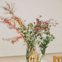 メゾン プルミエールの写真2枚目