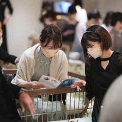 ツキ シュール ラ メールの写真14枚目