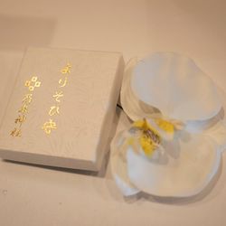 ツキ シュール ラ メールの写真6枚目