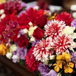 ホテル雅叙園東京の写真3枚目