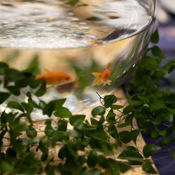 ホテル雅叙園東京の写真17枚目