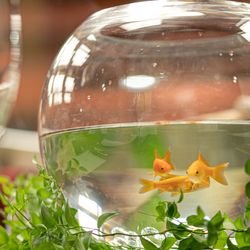 ホテル雅叙園東京の写真31枚目