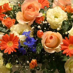 カノビアーノ 福岡の写真17枚目