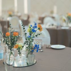 カノビアーノ 福岡の写真15枚目