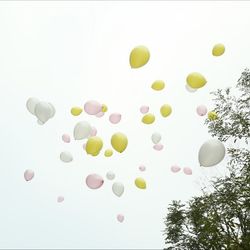 アルモニーサンク ウエディングホテルの写真4枚目