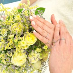 下鴨神社の写真13枚目