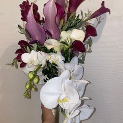 SOLA KOBEの写真33枚目