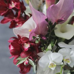 SOLA KOBEの写真21枚目