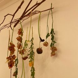 メゾン プルミエールの写真10枚目