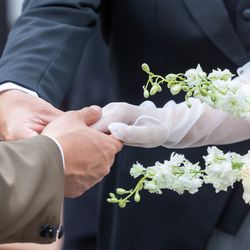 メゾン プルミエールの写真29枚目