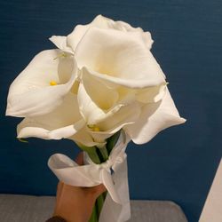 ルーキスの写真14枚目