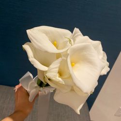 ルーキスの写真36枚目