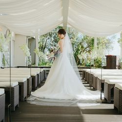 TOASTの写真14枚目