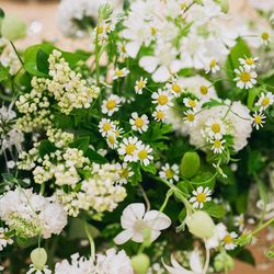 メゾン プルミエールの写真28枚目