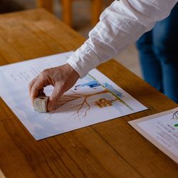 メゾン プルミエールの写真20枚目