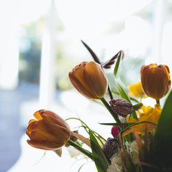 メゾン プルミエールの写真36枚目