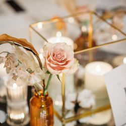 ルーキスの写真25枚目