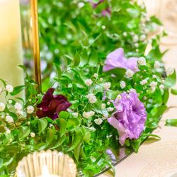 ルーキスの写真1枚目