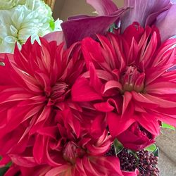 グランドニッコー東京 台場の写真13枚目