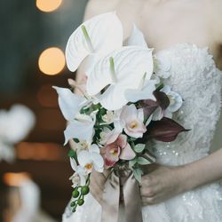 SOLA KOBEの写真17枚目