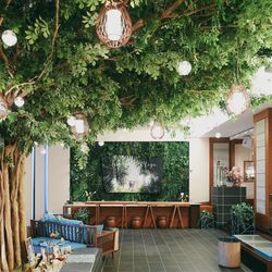 SOLA KOBEの写真17枚目