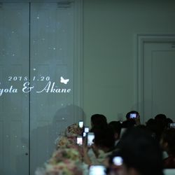 ステラ・デル・アンジェロの写真33枚目