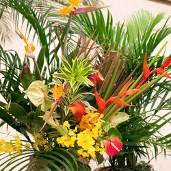 C－STYLE ホテル沼津キャッスルの写真17枚目