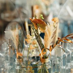 SOLA KOBEの写真20枚目