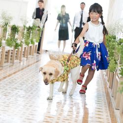 ビアンカーラ マリーナテラスの写真30枚目