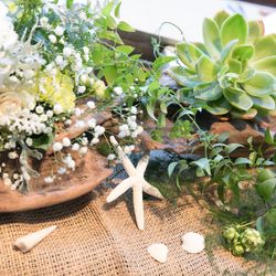 ビアンカーラ マリーナテラスの写真21枚目