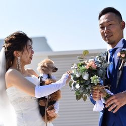 ビアンカーラ マリーナテラスの写真25枚目