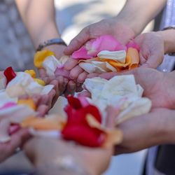 ビアンカーラ マリーナテラスの写真4枚目