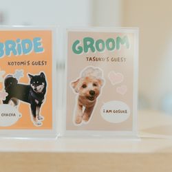 TOASTの写真13枚目