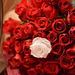 グランドオリエンタル みなとみらいの写真33枚目