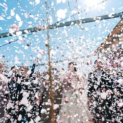 TOASTの写真33枚目