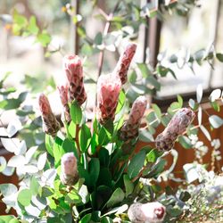 古我邸の写真9枚目