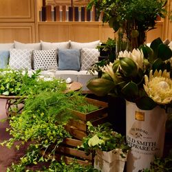 ザ・テンダーハウスの写真36枚目