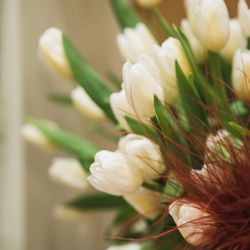 エネコ東京の写真22枚目