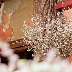 ホテル雅叙園東京の写真18枚目