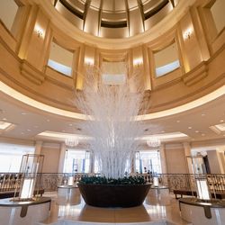 グランドニッコー東京 台場の写真32枚目