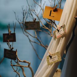 THE SORAKUEN の写真16枚目