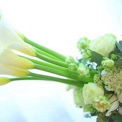 ベルアンジュールの写真2枚目