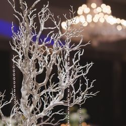 ザ・プリンス パークタワー東京の写真6枚目