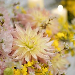 ホテル雅叙園東京の写真25枚目