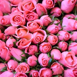 ハートコート横浜の写真16枚目